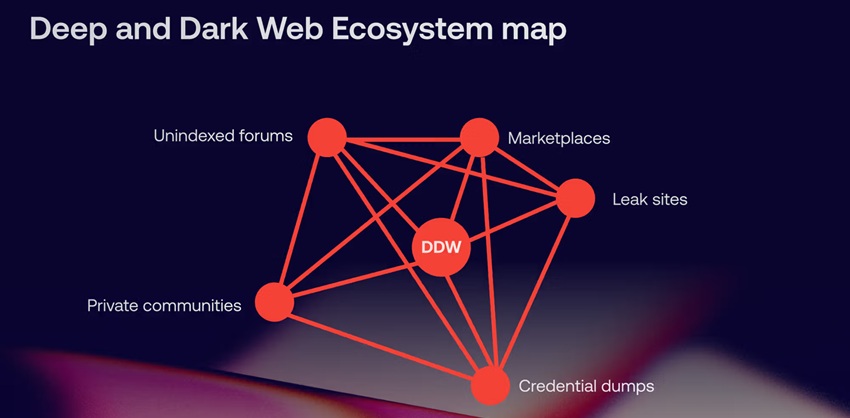 Dark Web Vendor Ecosystems