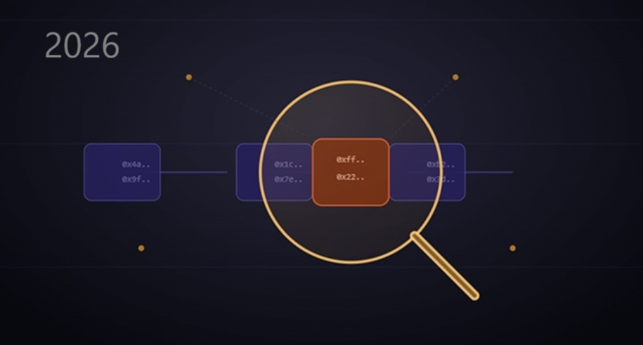Blockchain forensics investigators analyzing transaction data on screens