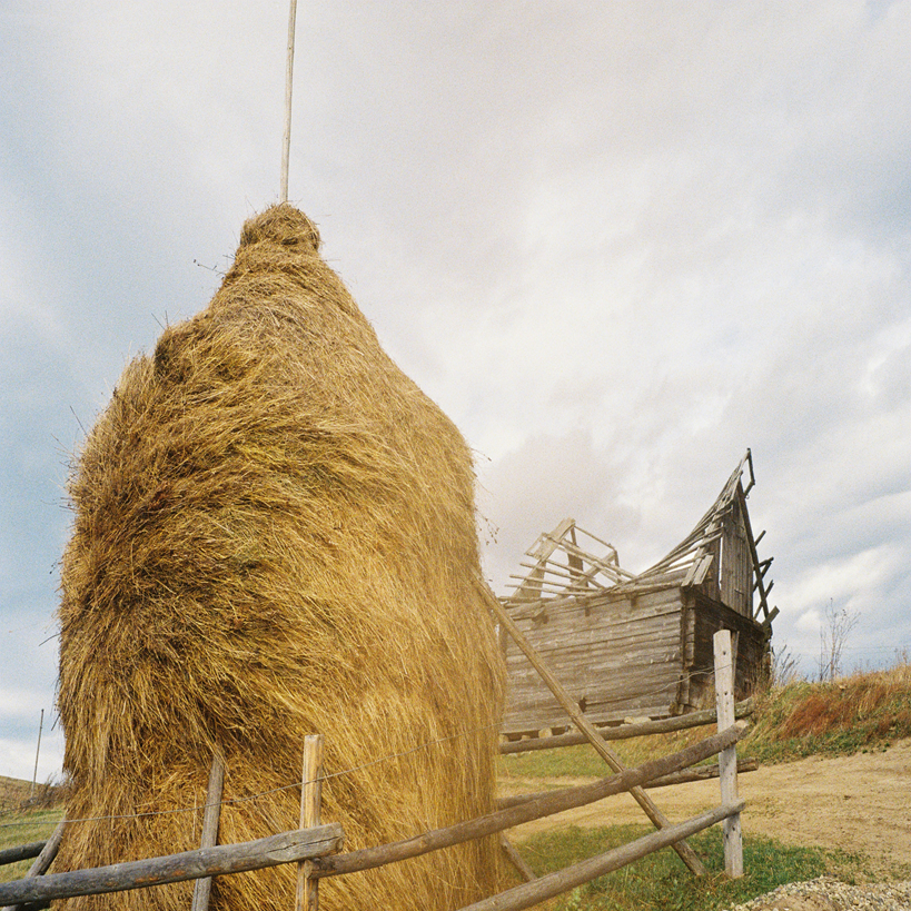 Haystack Search engine