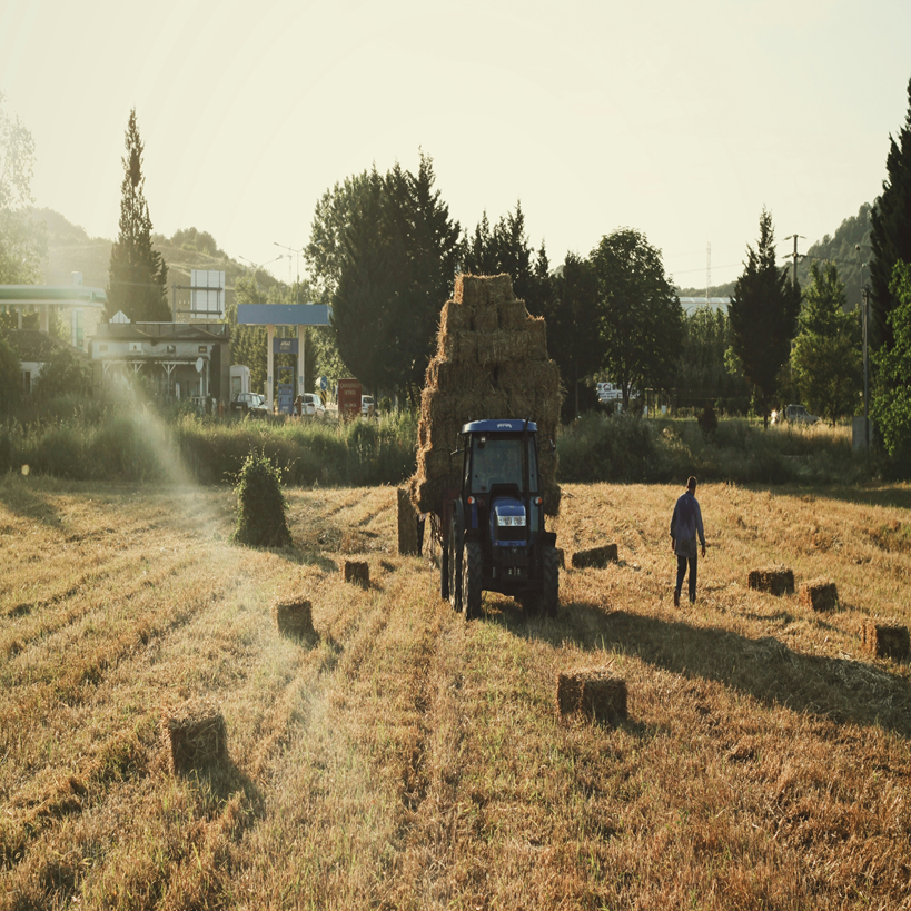 Haystack Search engine