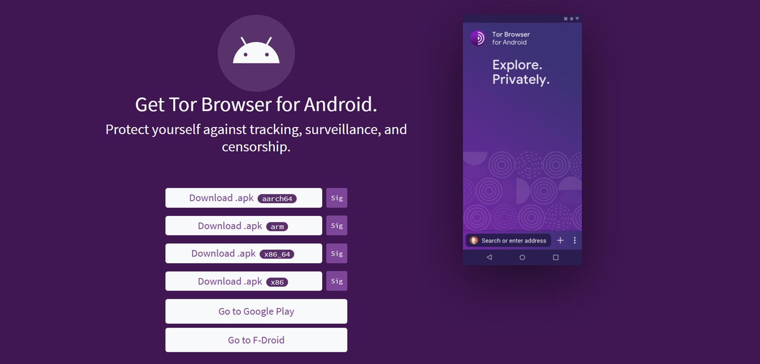 Tor Browser privacy and anonymous browsing illustration.
