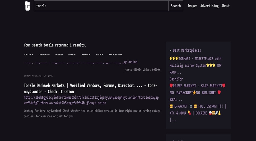 Torch Search interface showing torzle keyword search and 1 onion search results