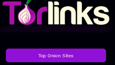 torlinks.live